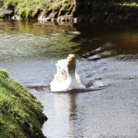 호텔 Misselhorner Hof 헤르만스부르크