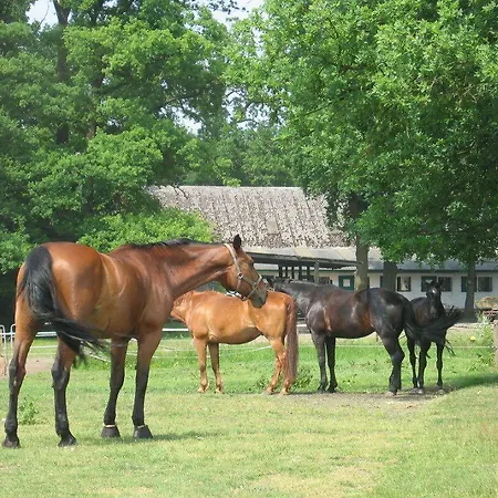 호텔 Misselhorner Hof 3*